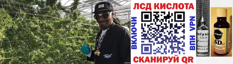 Наркотические марки 1500мкг Бердск